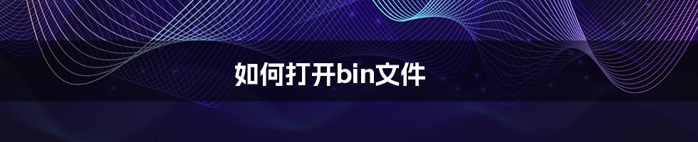 如何打开bin文件
