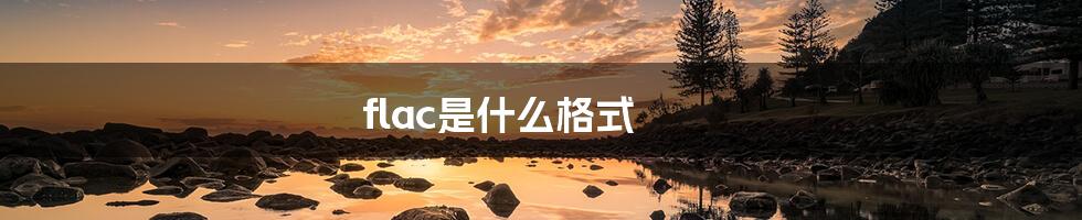flac是什么格式