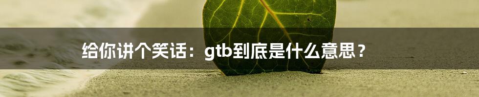 给你讲个笑话:gtb到底是什么意思?