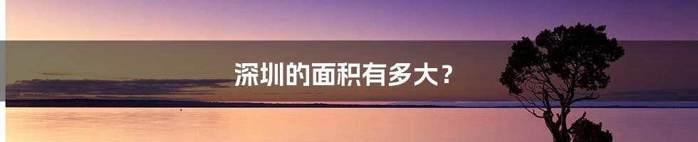 深圳的面积有多大?
