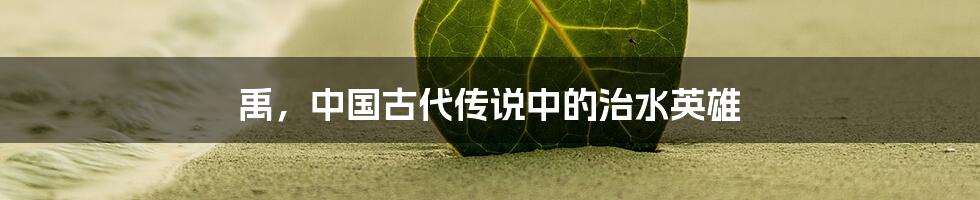 禹,中国古代传说中的治水英雄
