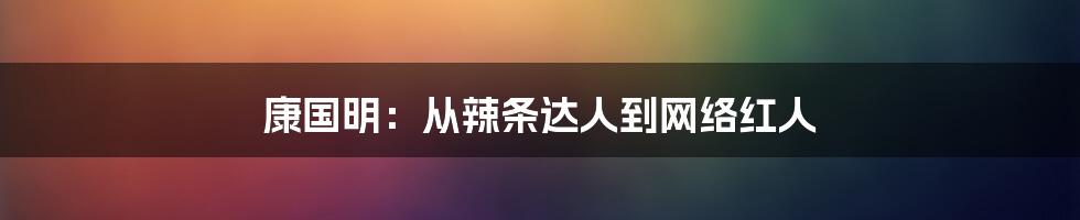 康国明:从辣条达人到网络红人