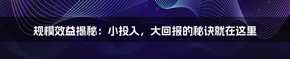 规模效益揭秘:小投入,大回报的秘诀就在这里