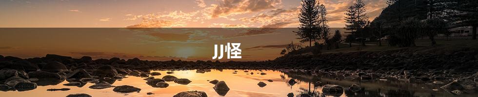 JJ怪