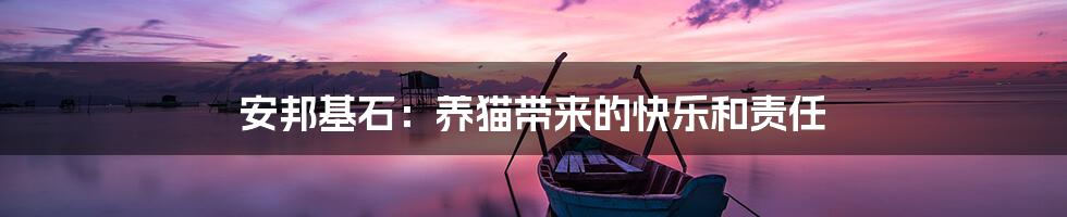 安邦基石:养猫带来的快乐和责任
