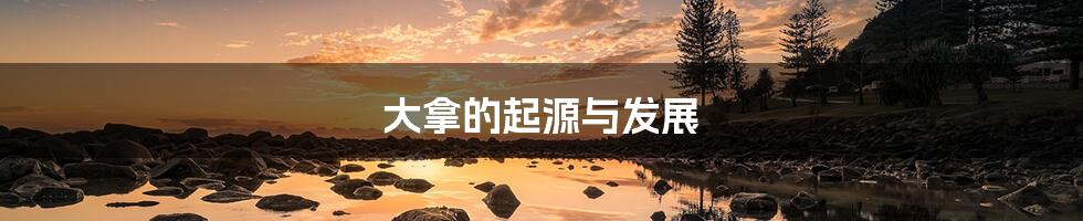 大拿的起源与发展