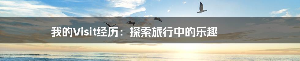我的Visit经历:探索旅行中的乐趣