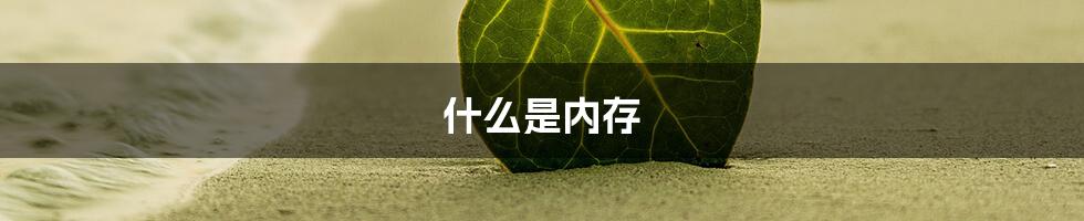 什么是内存