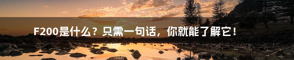 F200是什么?只需一句话,你就能了解它!
