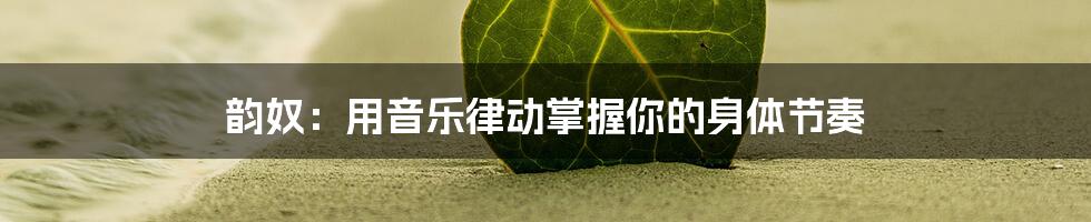 韵奴:用音乐律动掌握你的身体节奏