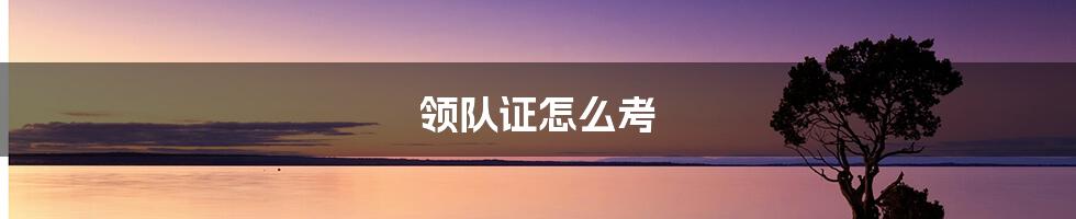 领队证怎么考