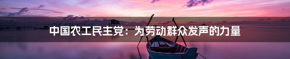 中国农工民主党:为劳动群众发声的力量