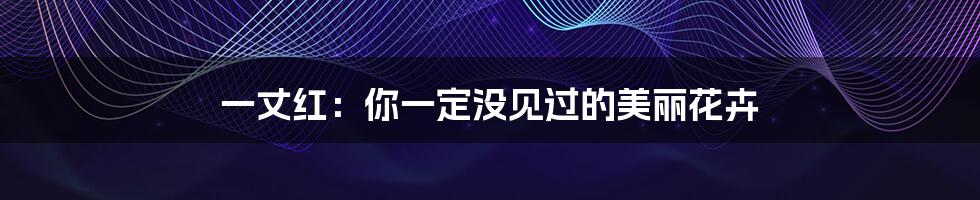 一丈红:你一定没见过的美丽花卉