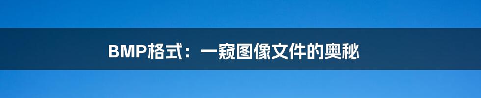BMP格式:一窥图像文件的奥秘