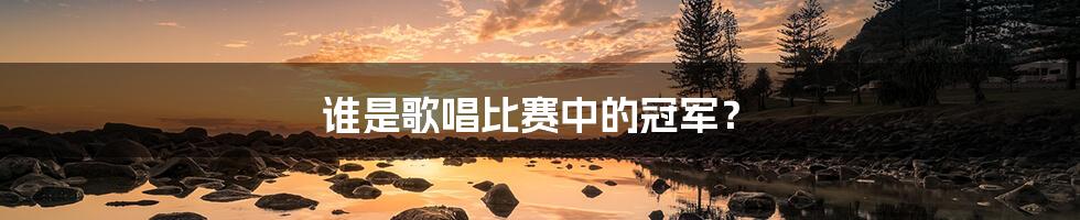谁是歌唱比赛中的冠军？