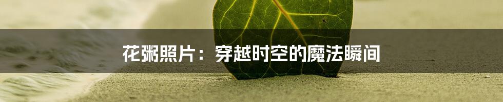 花粥照片:穿越时空的魔法瞬间