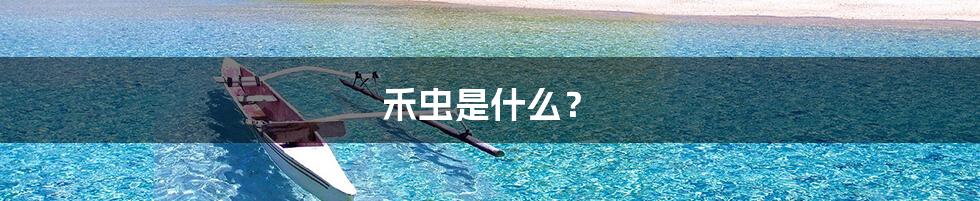 禾虫是什么？