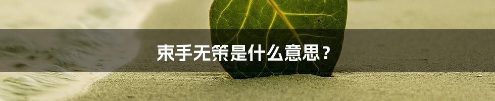 束手无策是什么意思?