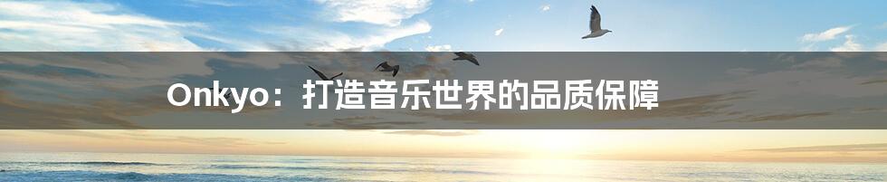 Onkyo:打造音乐世界的品质保障
