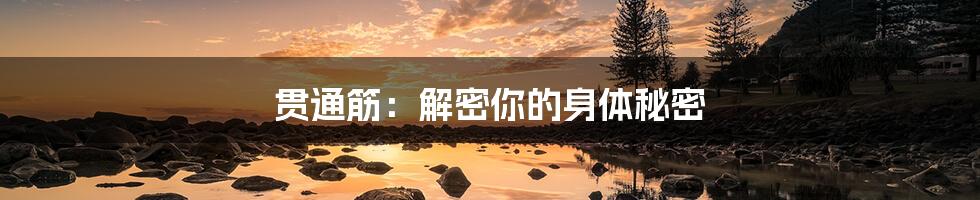 贯通筋:解密你的身体秘密