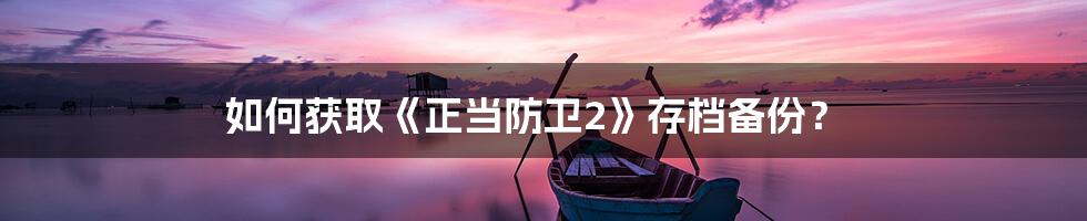 如何获取《正当防卫2》存档备份?