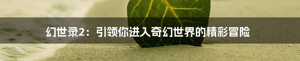 幻世录2:引领你进入奇幻世界的精彩冒险