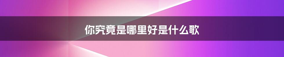 你究竟是哪里好是什么歌