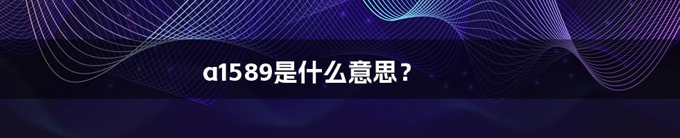 a1589是什么意思?