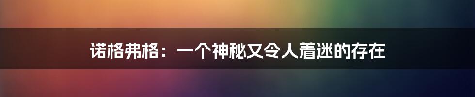 诺格弗格：一个神秘又令人着迷的存在