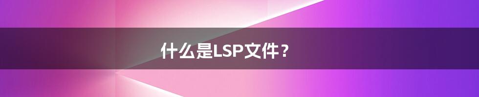 什么是LSP文件?