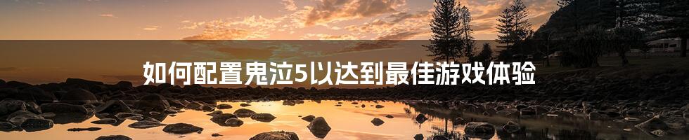 如何配置鬼泣5以达到最佳游戏体验