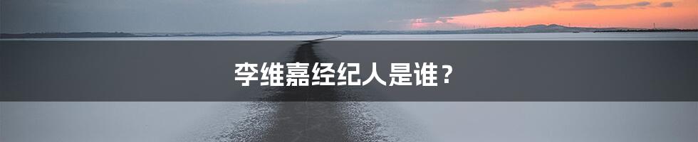 李维嘉经纪人是谁?