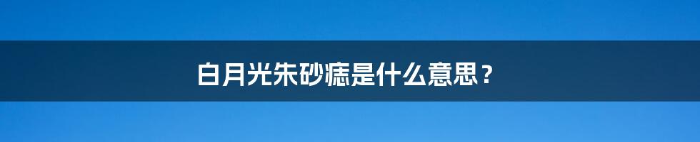 白月光朱砂痣是什么意思?
