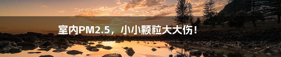 室内PM2.5,小小颗粒大大伤!