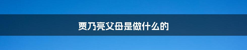 贾乃亮父母是做什么的