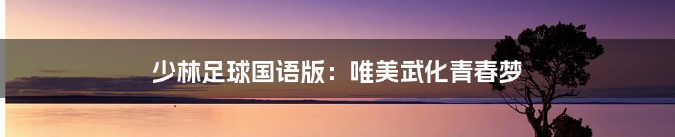 少林足球国语版:唯美武化青春梦