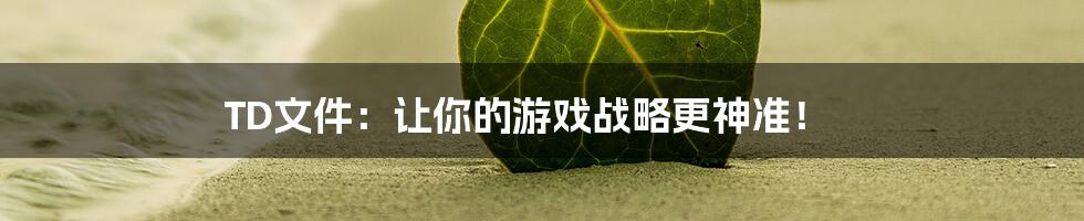 TD文件:让你的游戏战略更神准!