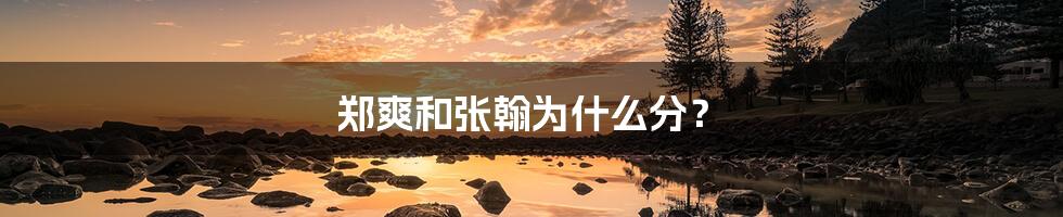 郑爽和张翰为什么分?