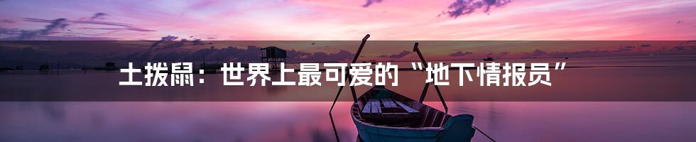 土拨鼠:世界上最可爱的“地下情报员”