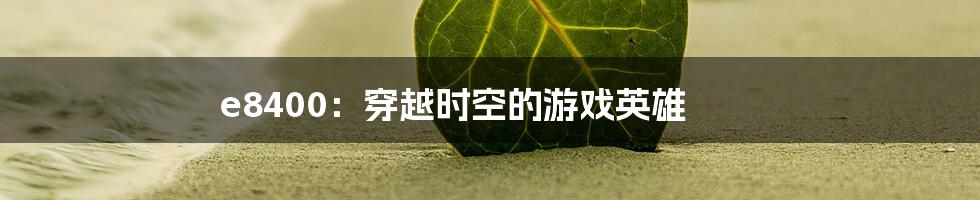 e8400:穿越时空的游戏英雄