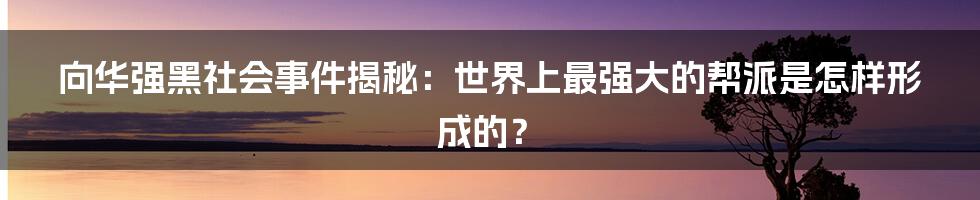 向华强黑社会事件揭秘:世界上最强大的帮派是怎样形成的?