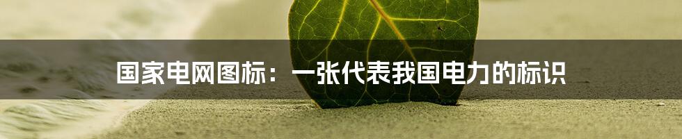 国家电网图标:一张代表我国电力的标识