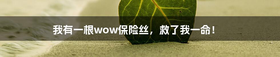 我有一根wow保险丝,救了我一命!