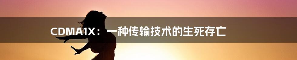 CDMA1X：一种传输技术的生死存亡