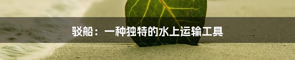 驳船:一种独特的水上运输工具