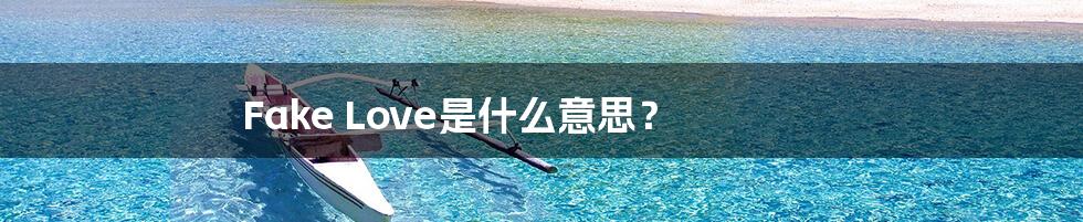 Fake Love是什么意思?