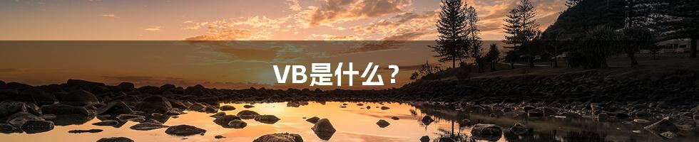 VB是什么?