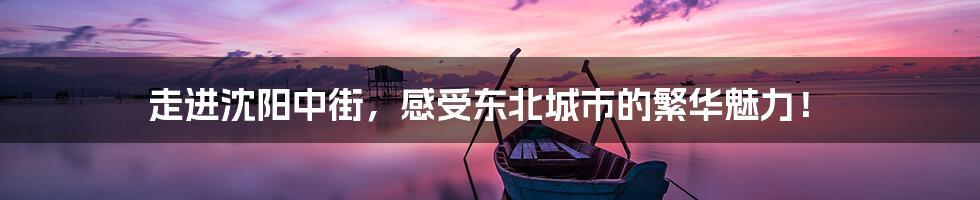走进沈阳中街,感受东北城市的繁华魅力!