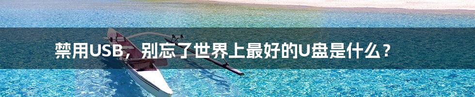 禁用USB,别忘了世界上最好的U盘是什么?
