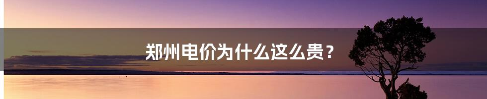 郑州电价为什么这么贵?